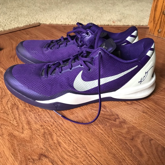 purple kobe 8